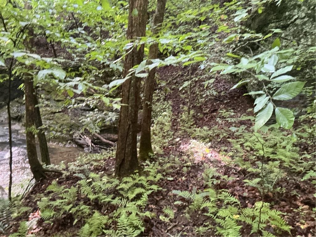 other under contract at 0 Mountain Brook Road, Dawsonville, GA 30534 — photo 7
