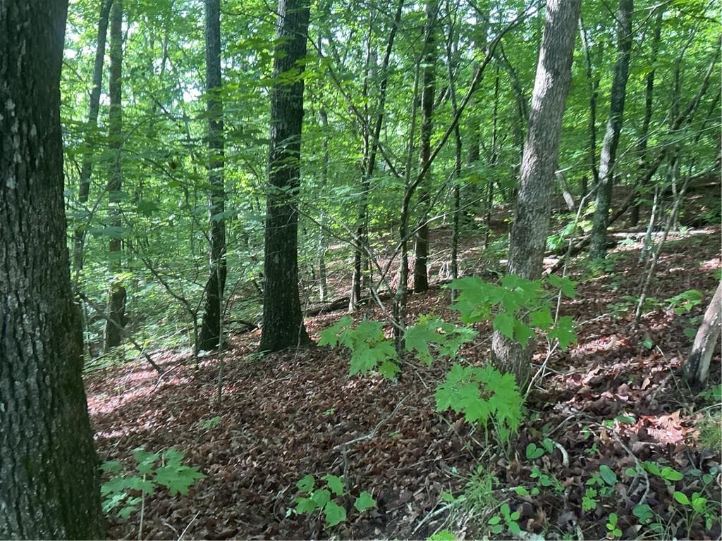 other under contract at 0 Mountain Brook Road, Dawsonville, GA 30534 — photo 9