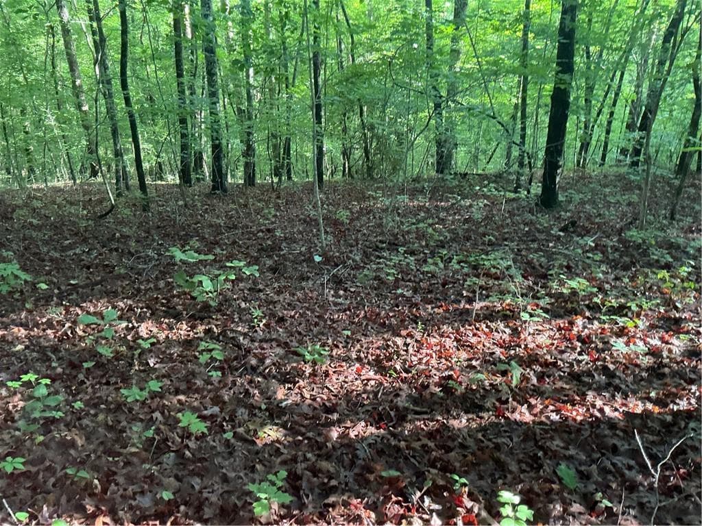 other under contract at 0 Mountain Brook Road, Dawsonville, GA 30534 — photo 10