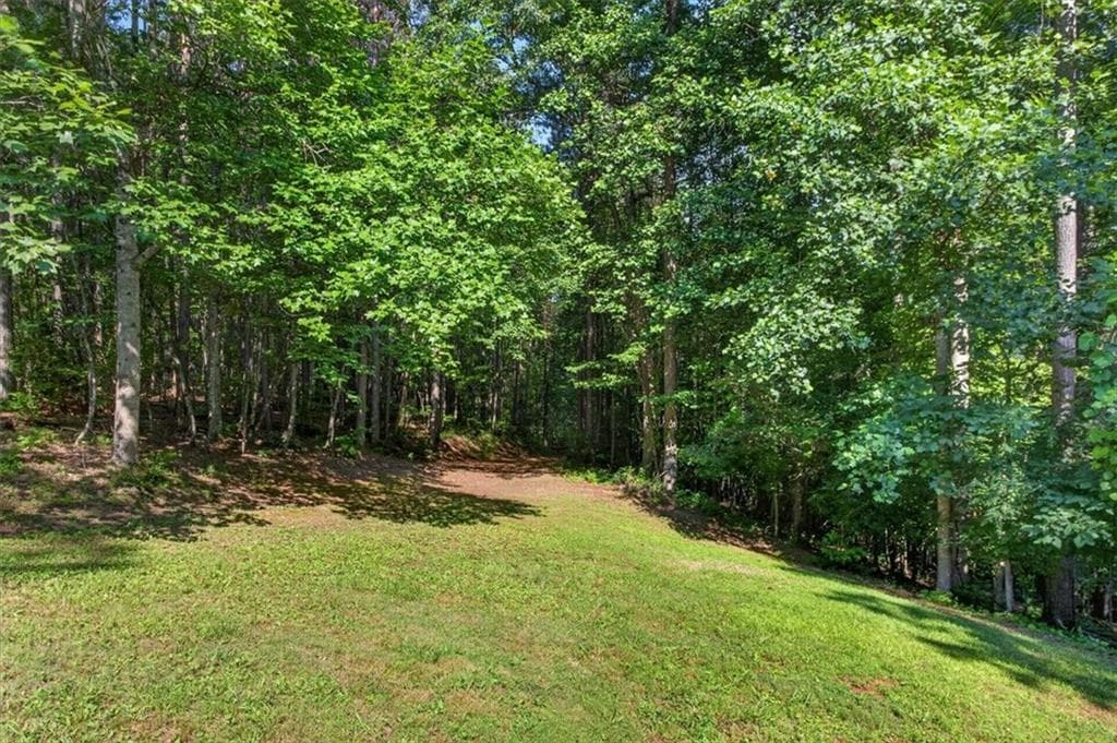 other for sale at 2025 Soap Creek Road, Ball Ground, GA 30107 — photo 5