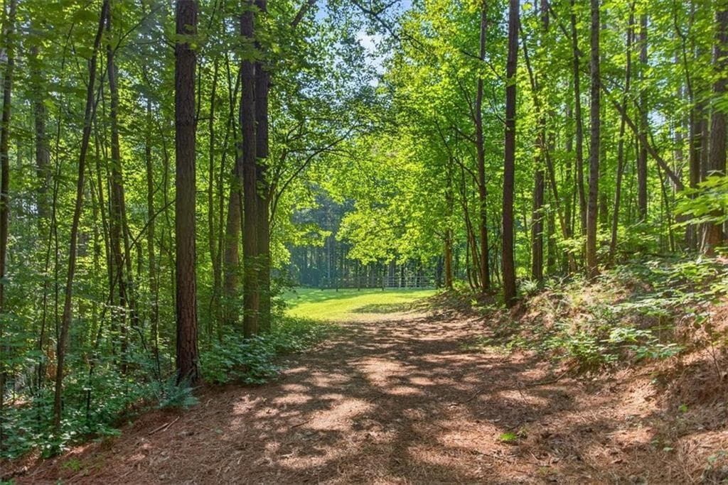 other for sale at 2025 Soap Creek Road, Ball Ground, GA 30107 — photo 6