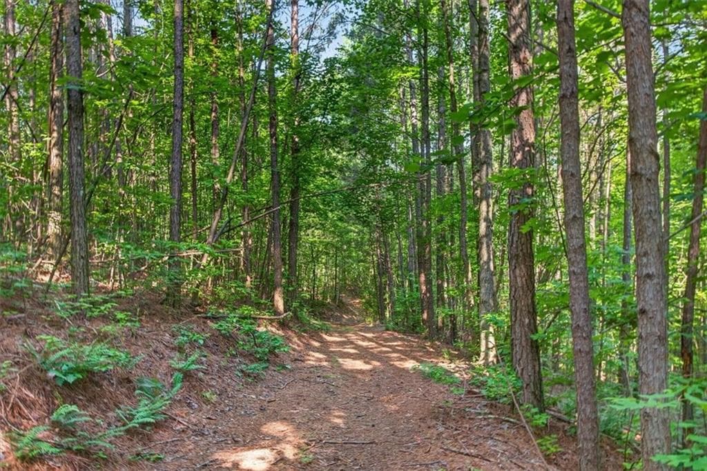 other for sale at 2025 Soap Creek Road, Ball Ground, GA 30107 — photo 7
