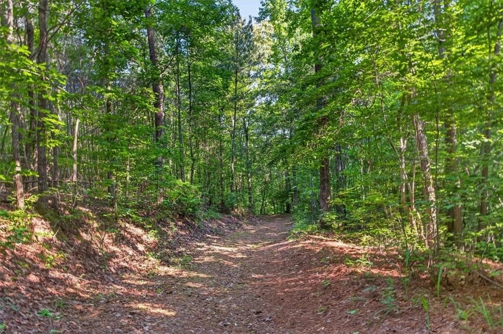 other for sale at 2025 Soap Creek Road, Ball Ground, GA 30107 — photo 8