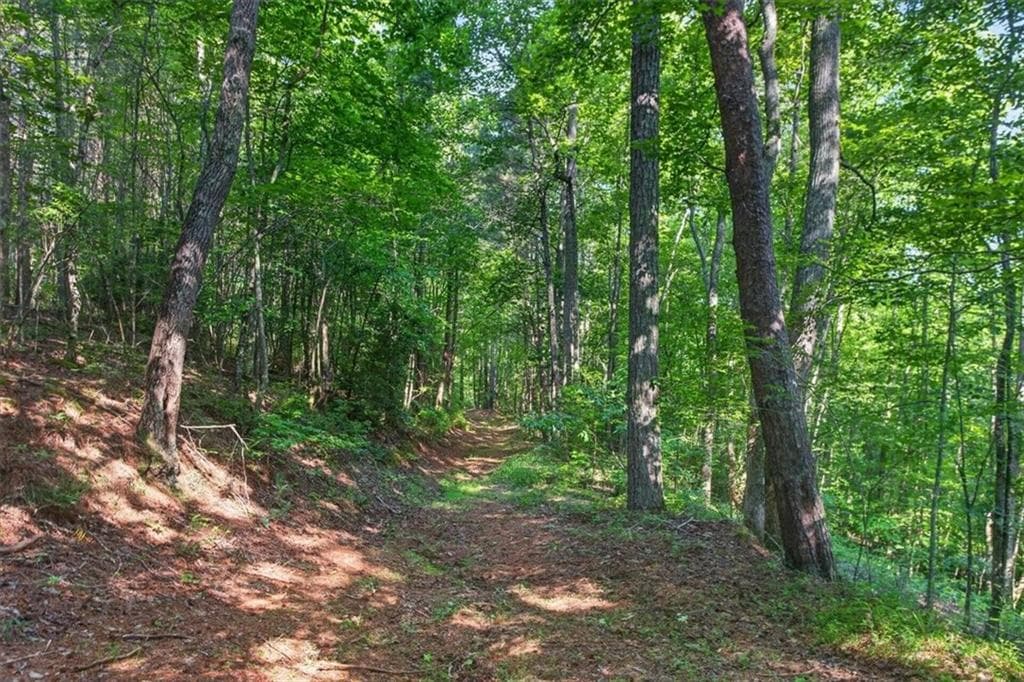 other for sale at 2025 Soap Creek Road, Ball Ground, GA 30107 — photo 9