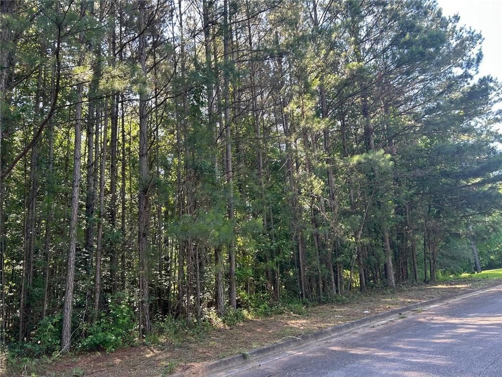 single family residence under contract at 136 Harrison Place, Hampton, GA 30228 — photo 2