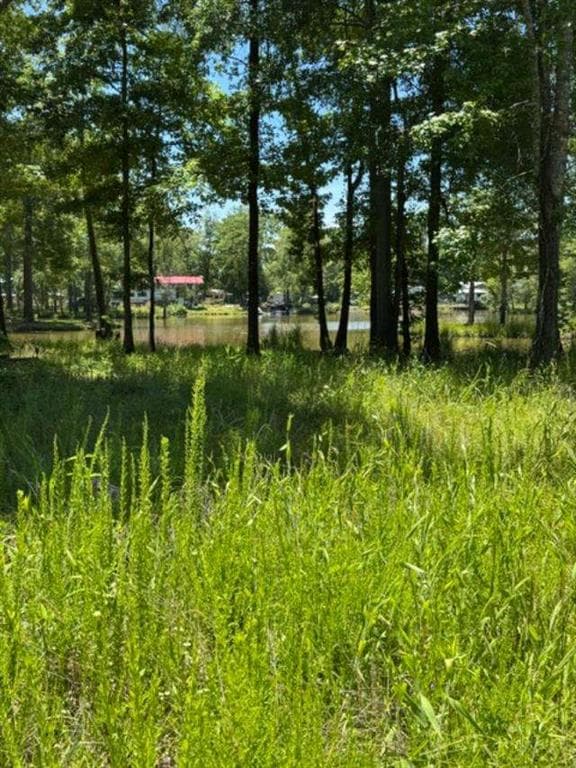 single family residence for sale at LOT 6 COUNTY ROAD 182, Cedar Bluff, AL 35959 — photo 3