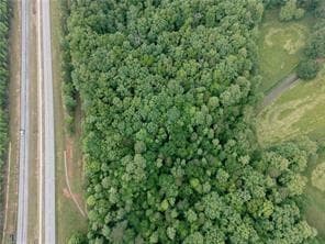 unimproved land for sale at 0 Hwy 441, Clarkesville, GA 30523 — photo 3