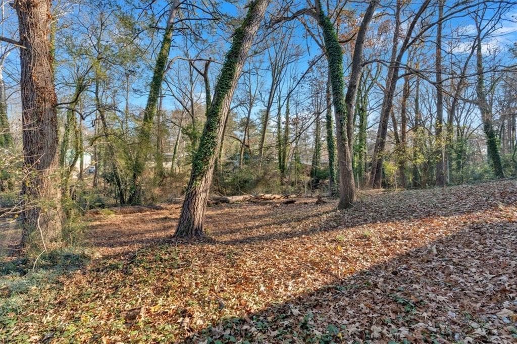 4 bedroom, 2 bathroom, 1,734 sq ft single family residence for rent at 2080 Bluffton Way, Decatur, GA 30035 for $2,050 a month — photo 7
