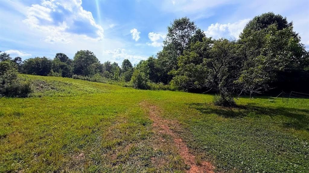 other sold at 380 Nix Road, Bremen, GA 30110