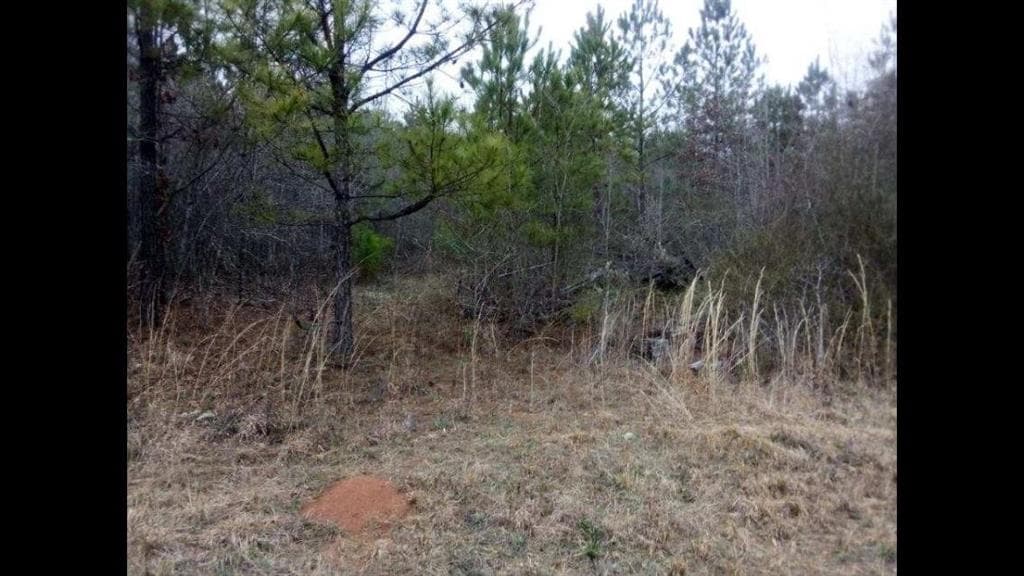 unimproved land for sale at 002 OLD WOODBURY Road, Woodbury, GA 30293