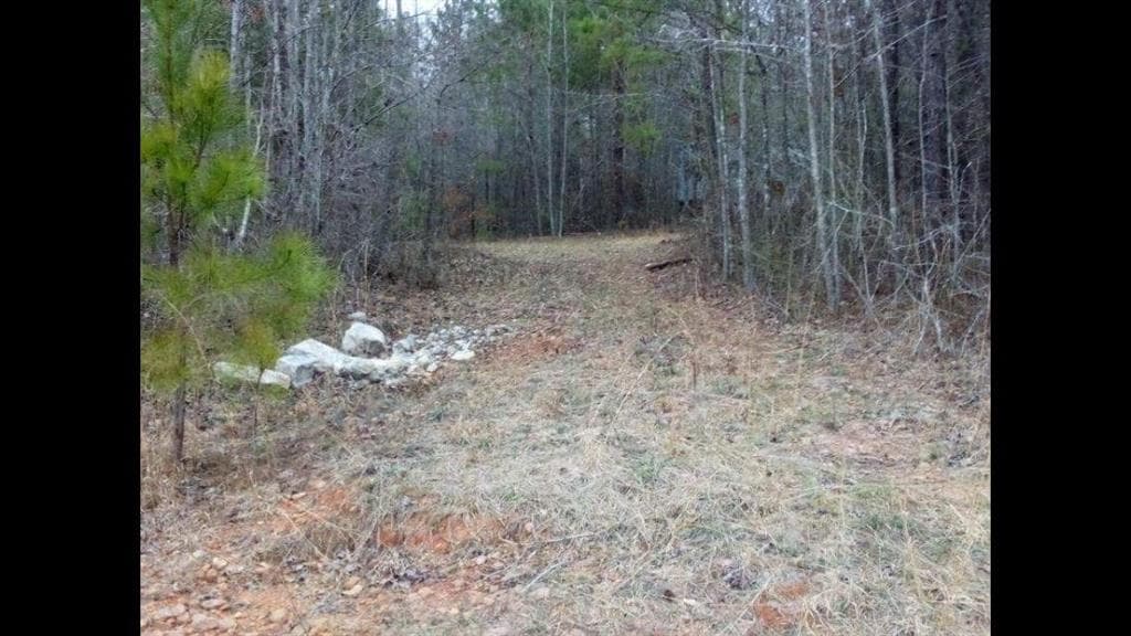 unimproved land for sale at 002 OLD WOODBURY Road, Woodbury, GA 30293 — photo 2