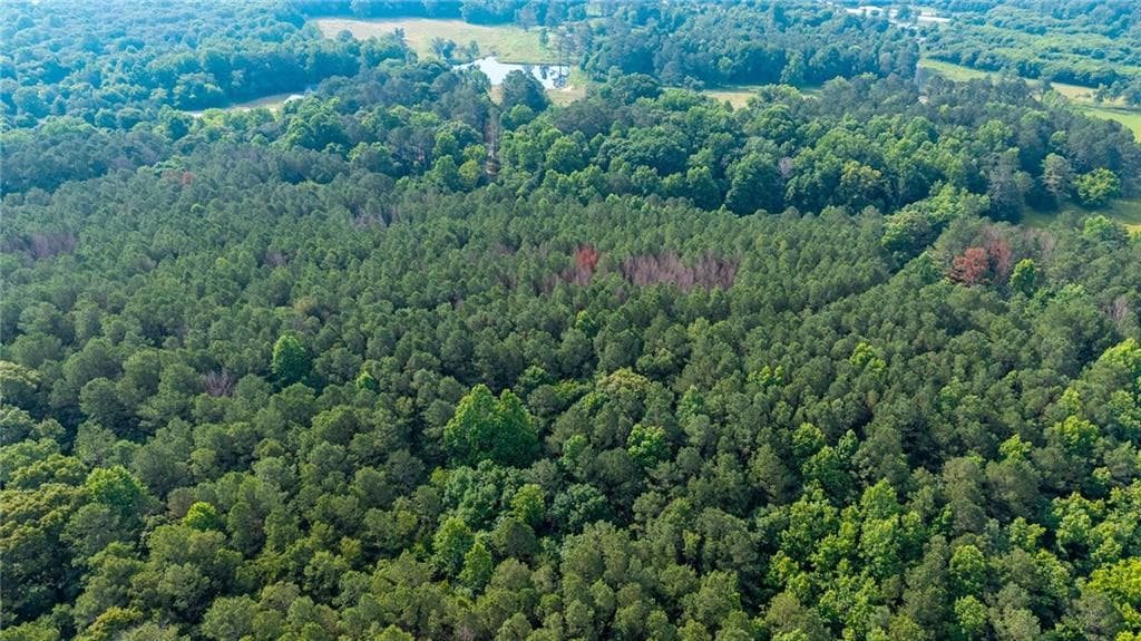 4 bedroom, 4 bathroom, 3,366 sq ft single family residence for sale at Lot 3 Highway 136 Connector, Talking Rock, GA 30175 — photo 6