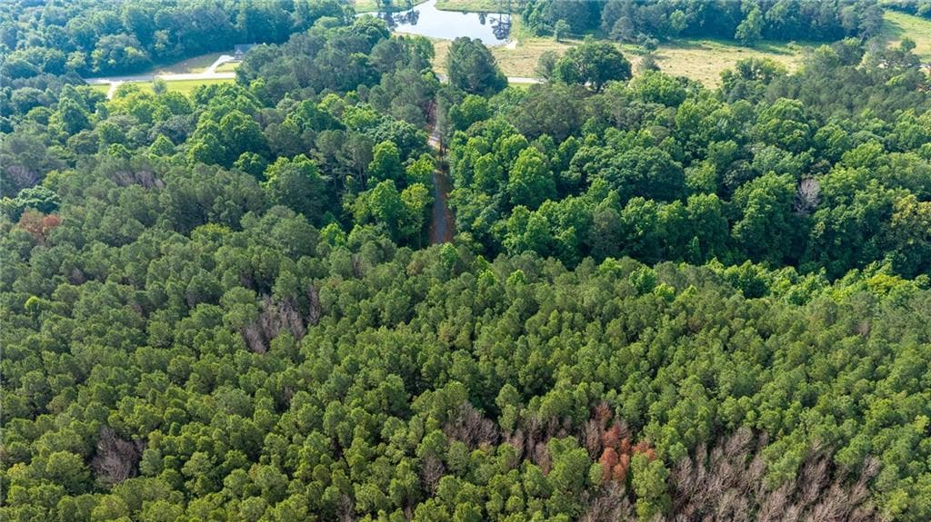 4 bedroom, 4 bathroom, 3,366 sq ft single family residence for sale at Lot 3 Highway 136 Connector, Talking Rock, GA 30175 — photo 8