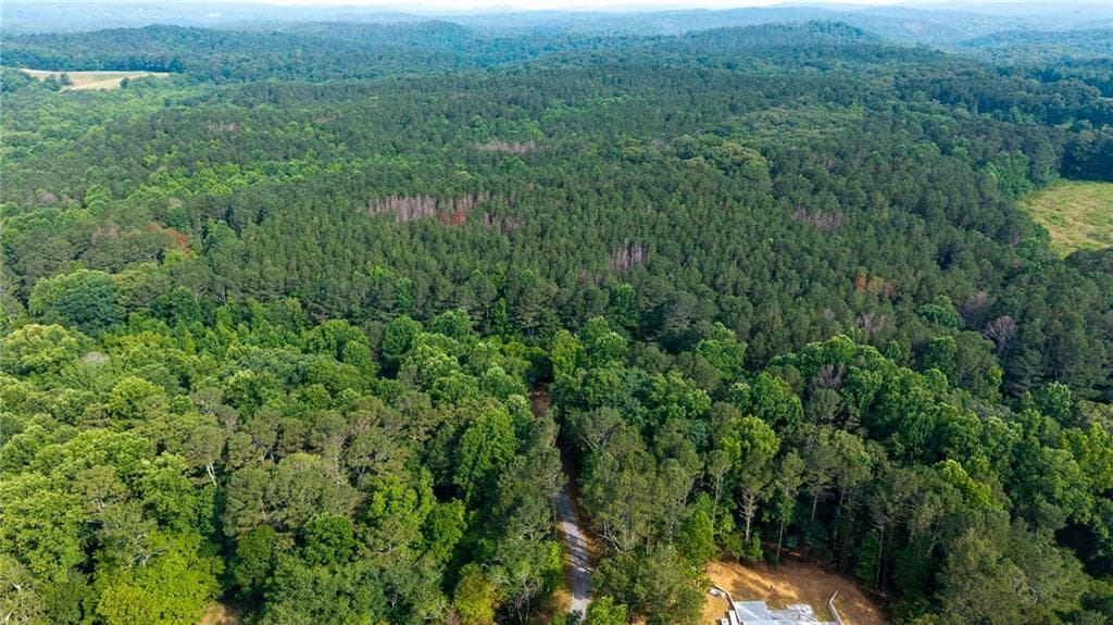 4 bedroom, 4 bathroom, 3,366 sq ft single family residence for sale at Lot 3 Highway 136 Connector, Talking Rock, GA 30175 — photo 9