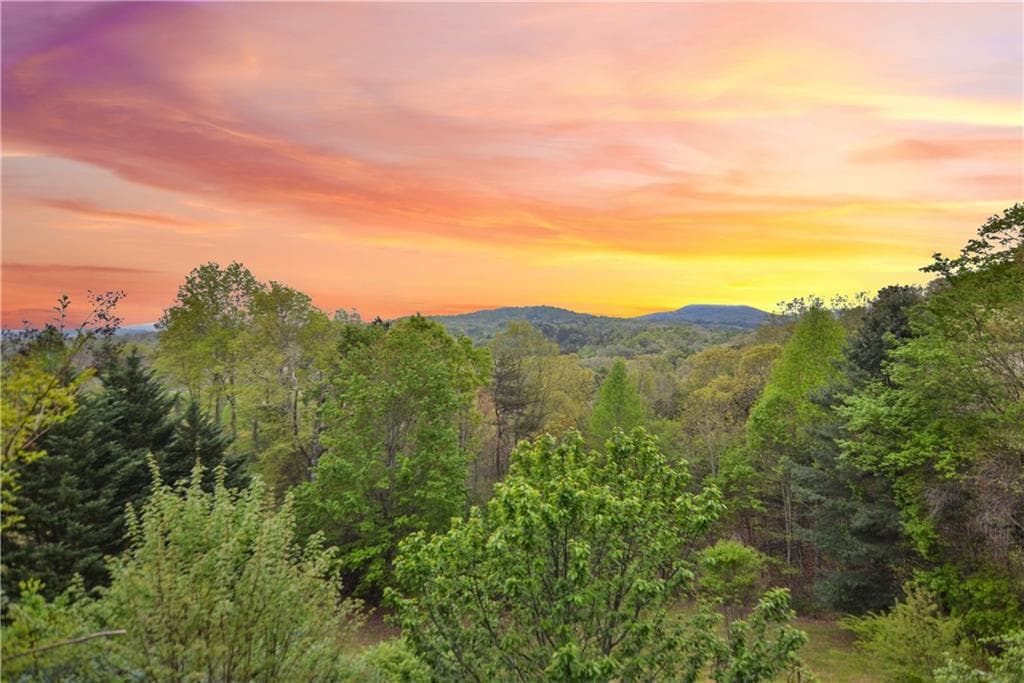 4 bedroom, 3 bathroom, 2,500 sq ft single family residence under contract at 48 Lookout Drive, Blue Ridge, GA 30513 — photo 9