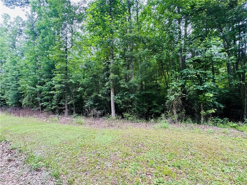 other for sale at 0 Pace Road, Chattahoochee Hills, GA 30213 — photo 6