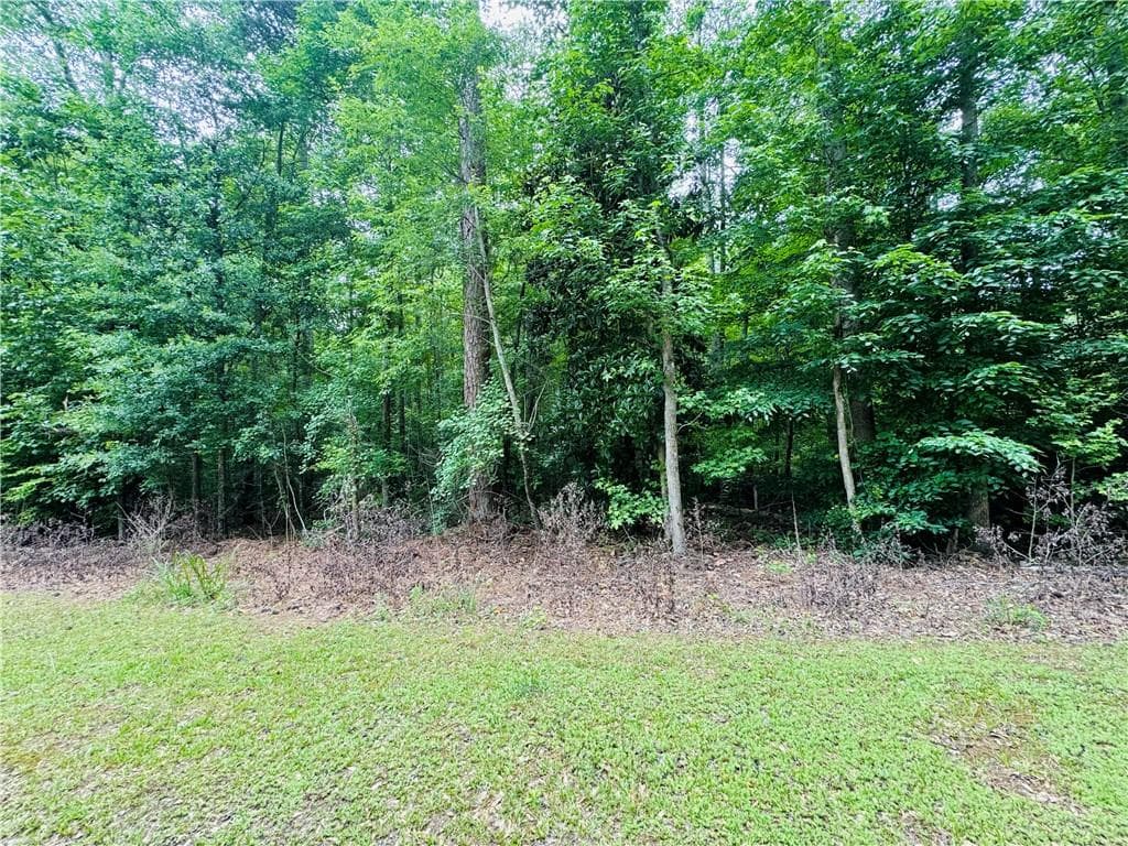 other for sale at 0 Pace Road, Chattahoochee Hills, GA 30213 — photo 7