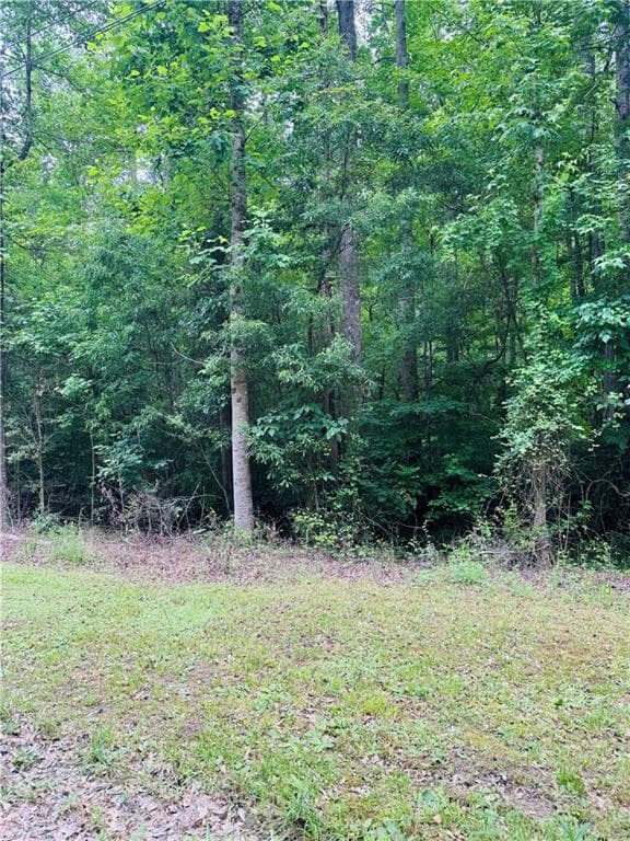 other for sale at 0 Pace Road, Chattahoochee Hills, GA 30213 — photo 8