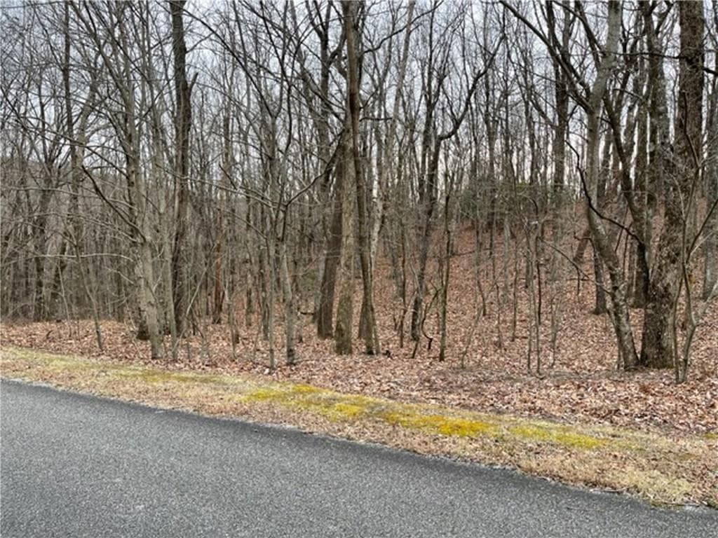 single family residence under contract at 184 St Andrews Way, Ellijay, GA 30536 — photo 10