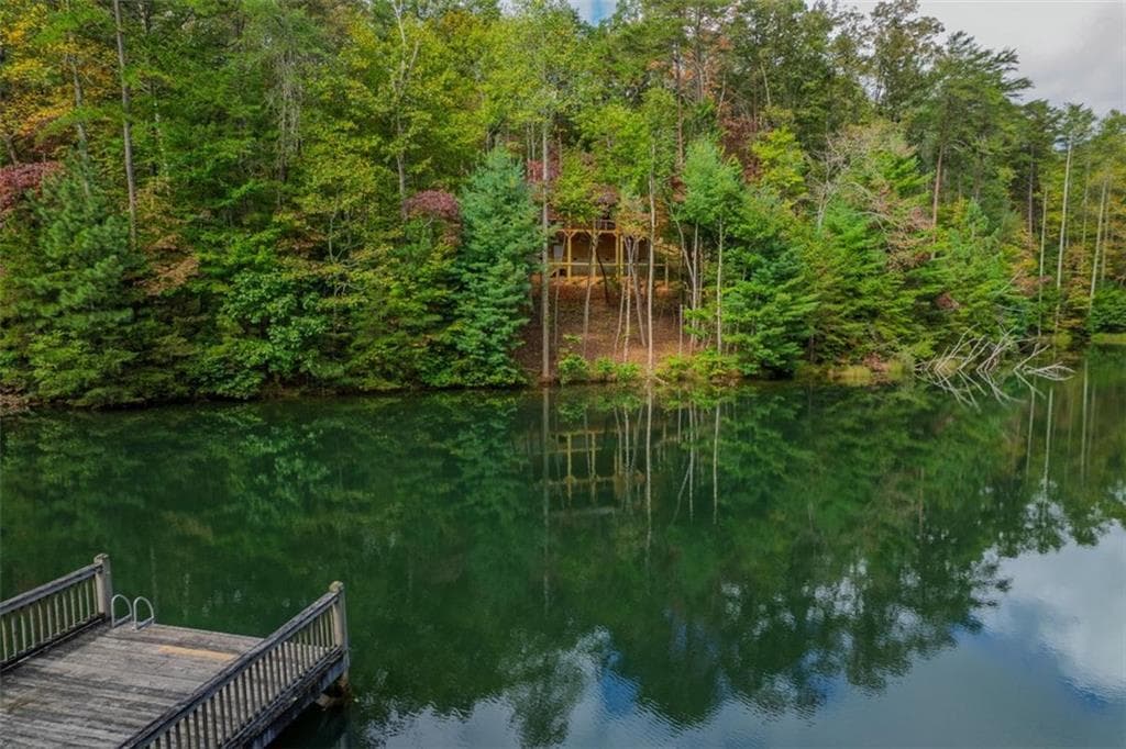 2 bedroom, 2 bathroom, 1,248 sq ft single family residence for sale at 85 Moreland Trail, Cherry Log, GA 30522 — photo 4