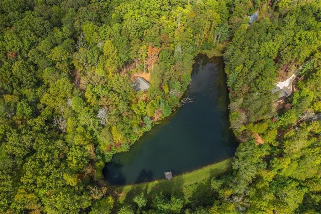 2 bedroom, 2 bathroom, 1,248 sq ft single family residence for sale at 85 Moreland Trail, Cherry Log, GA 30522 — photo 6