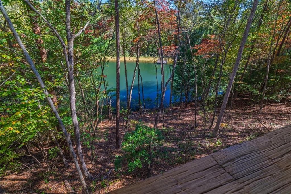 2 bedroom, 2 bathroom, 1,248 sq ft single family residence for sale at 85 Moreland Trail, Cherry Log, GA 30522 — photo 8