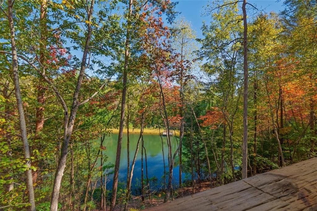 2 bedroom, 2 bathroom, 1,248 sq ft single family residence for sale at 85 Moreland Trail, Cherry Log, GA 30522 — photo 9