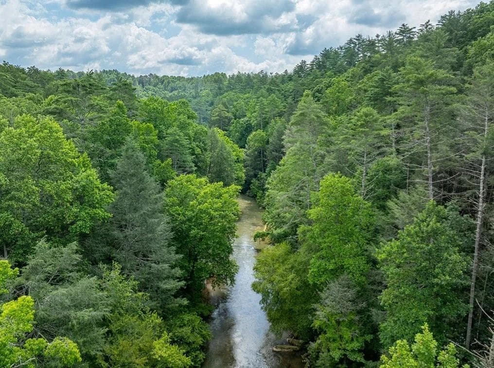 single family residence for sale at 00 Roaring Forks Lane, Ellijay, GA 30540 — photo 6