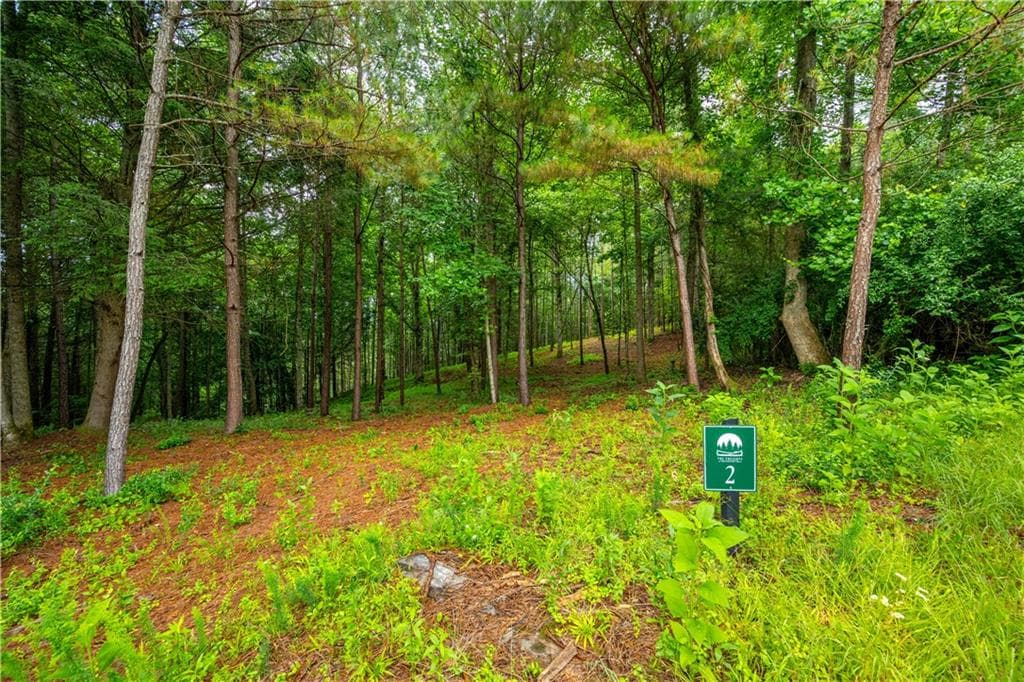 single family residence for sale at 00 Roaring Forks Lane, Ellijay, GA 30540 — photo 7