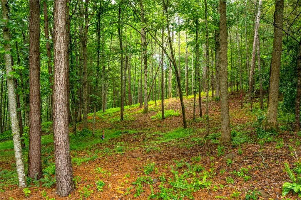 single family residence for sale at 00 Roaring Forks Lane, Ellijay, GA 30540 — photo 8