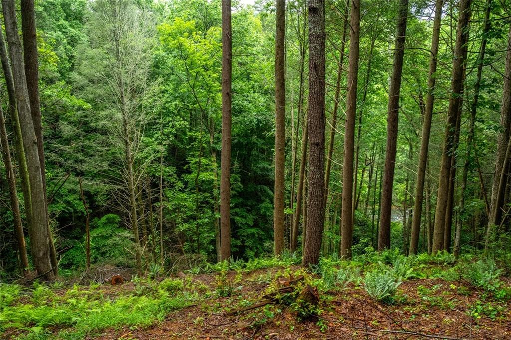 single family residence for sale at 00 Roaring Forks Lane, Ellijay, GA 30540 — photo 9