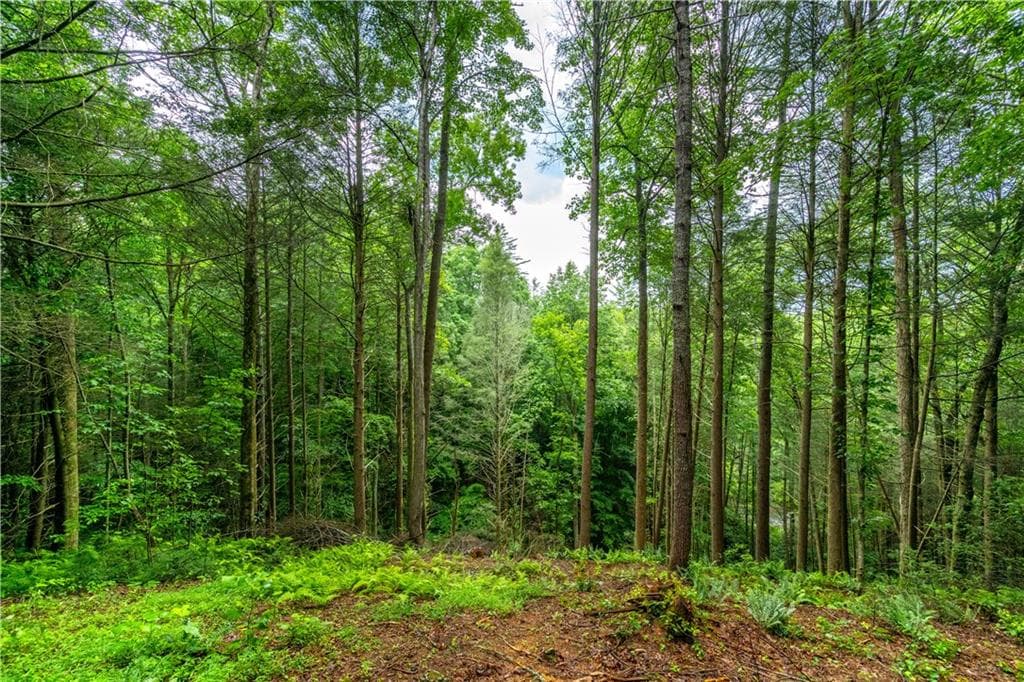 single family residence for sale at 00 Roaring Forks Lane, Ellijay, GA 30540 — photo 10