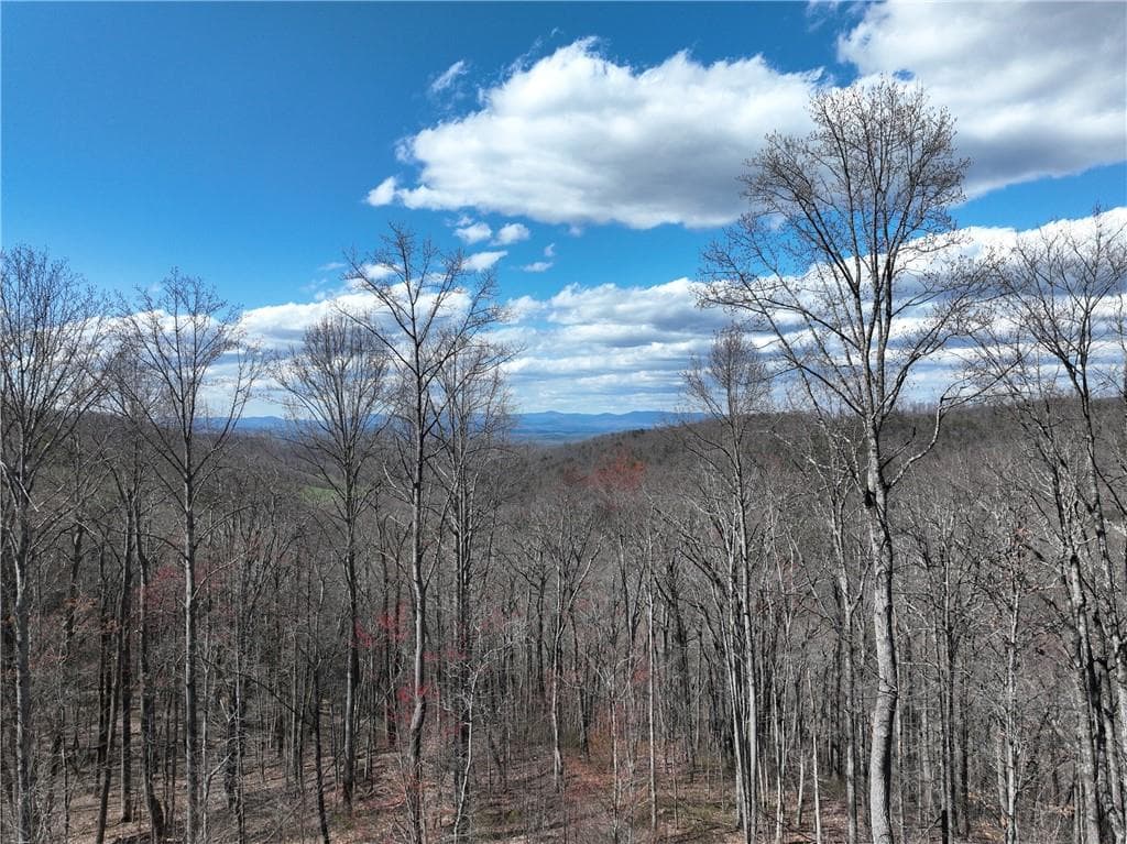 single family residence for sale at 270R Stone Cliff Drive, Ellijay, GA 30536