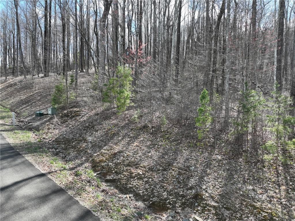 single family residence for sale at 270R Stone Cliff Drive, Ellijay, GA 30536 — photo 2