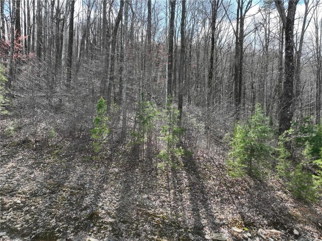 single family residence for sale at 270R Stone Cliff Drive, Ellijay, GA 30536 — photo 7