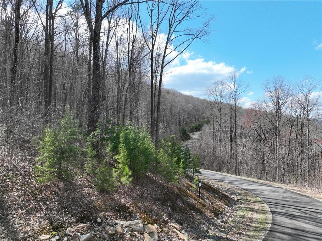 single family residence for sale at 270R Stone Cliff Drive, Ellijay, GA 30536 — photo 8