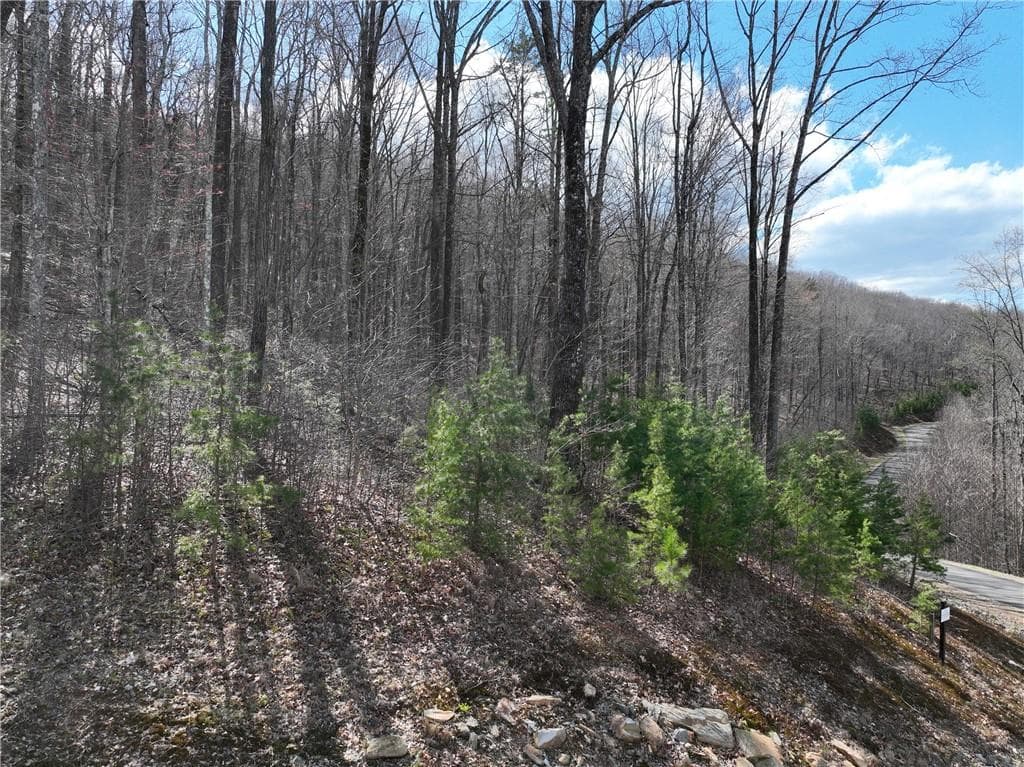 single family residence for sale at 270R Stone Cliff Drive, Ellijay, GA 30536 — photo 10