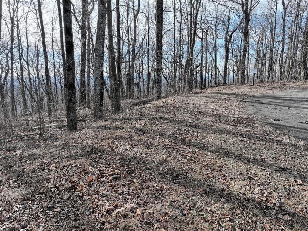 single family residence for sale at 256 Blood Root Trail, Ellijay, GA 30536 — photo 2