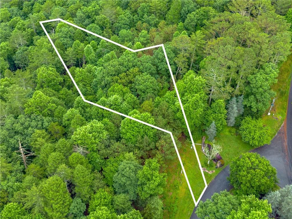 single family residence for sale at 00 Roaring Forks Lane, Ellijay, GA 30540 — photo 5
