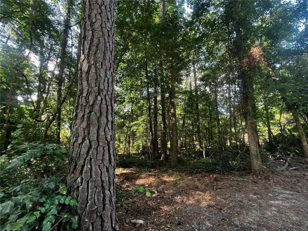 unimproved land for sale at 4074 Panola Road, Stonecrest, GA 30038 — photo 2