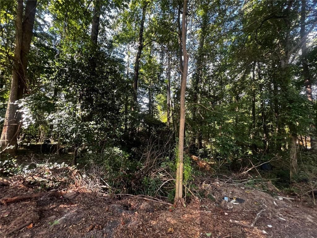 unimproved land for sale at 4074 Panola Road, Stonecrest, GA 30038 — photo 4