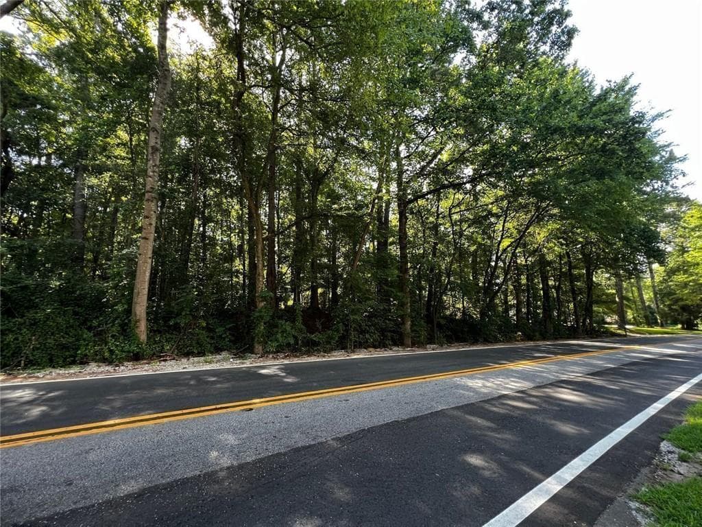 unimproved land for sale at 4074 Panola Road, Stonecrest, GA 30038 — photo 5
