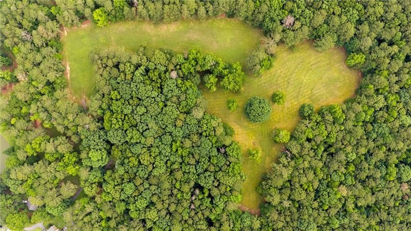 6 bedroom, 5 bathroom unimproved land for sale at 0 Capps Ferry Road, Chattahoochee Hills, GA 30268 — photo 3