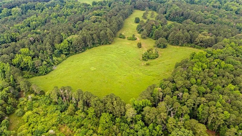 6 bedroom, 5 bathroom unimproved land for sale at 0 Capps Ferry Road, Chattahoochee Hills, GA 30268 — photo 4