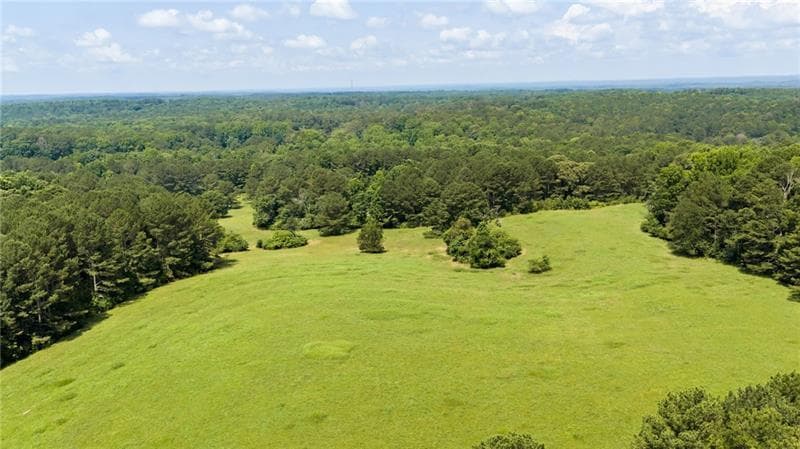 6 bedroom, 5 bathroom unimproved land for sale at 0 Capps Ferry Road, Chattahoochee Hills, GA 30268 — photo 7