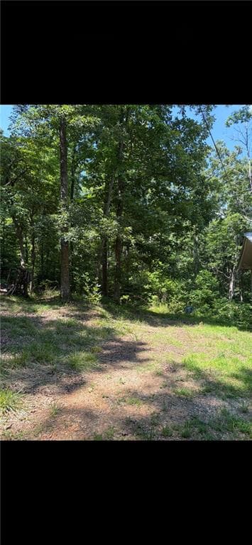 3 bedroom, 2 bathroom, 1,116 sq ft single family residence for sale at 388 River Shoals Road, Dawsonville, GA 30534 — photo 10