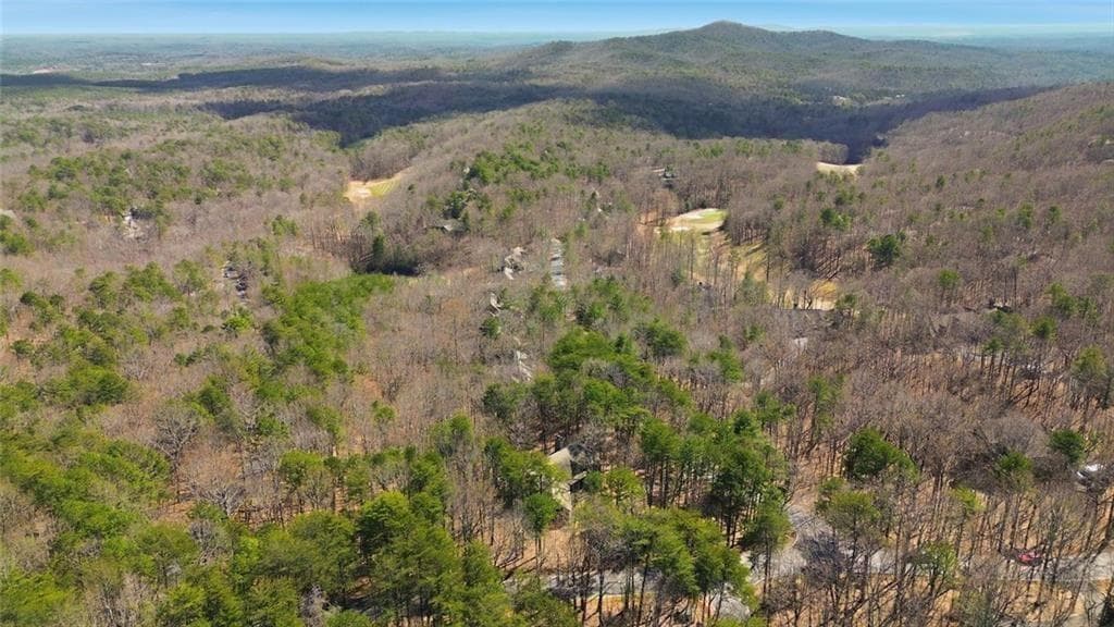 5 bedroom, 5 bathroom, 4,040 sq ft single family residence for sale at 15 Wedgewood Drive, Jasper, GA 30143 — photo 3