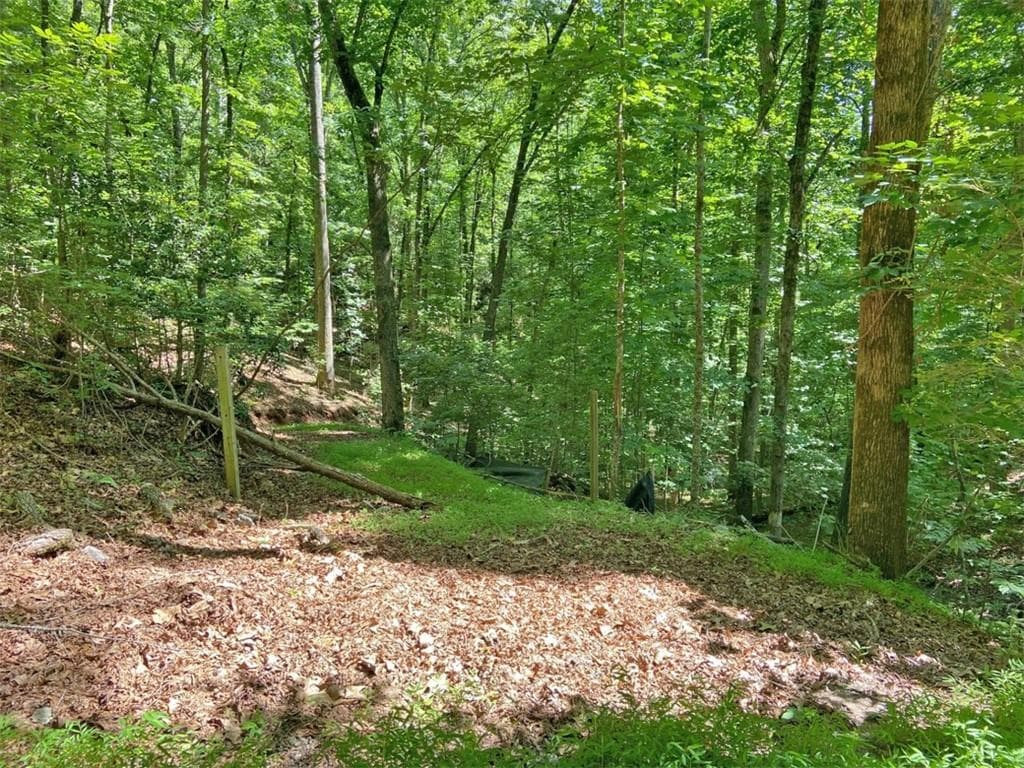 single family residence for sale at 2.4AC Old River Road, Dahlonega, GA 30533 — photo 3