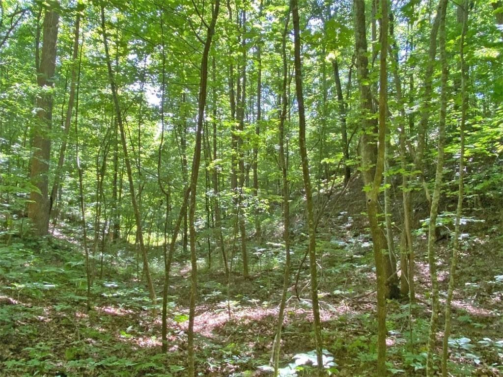 single family residence for sale at 2.4AC Old River Road, Dahlonega, GA 30533 — photo 4