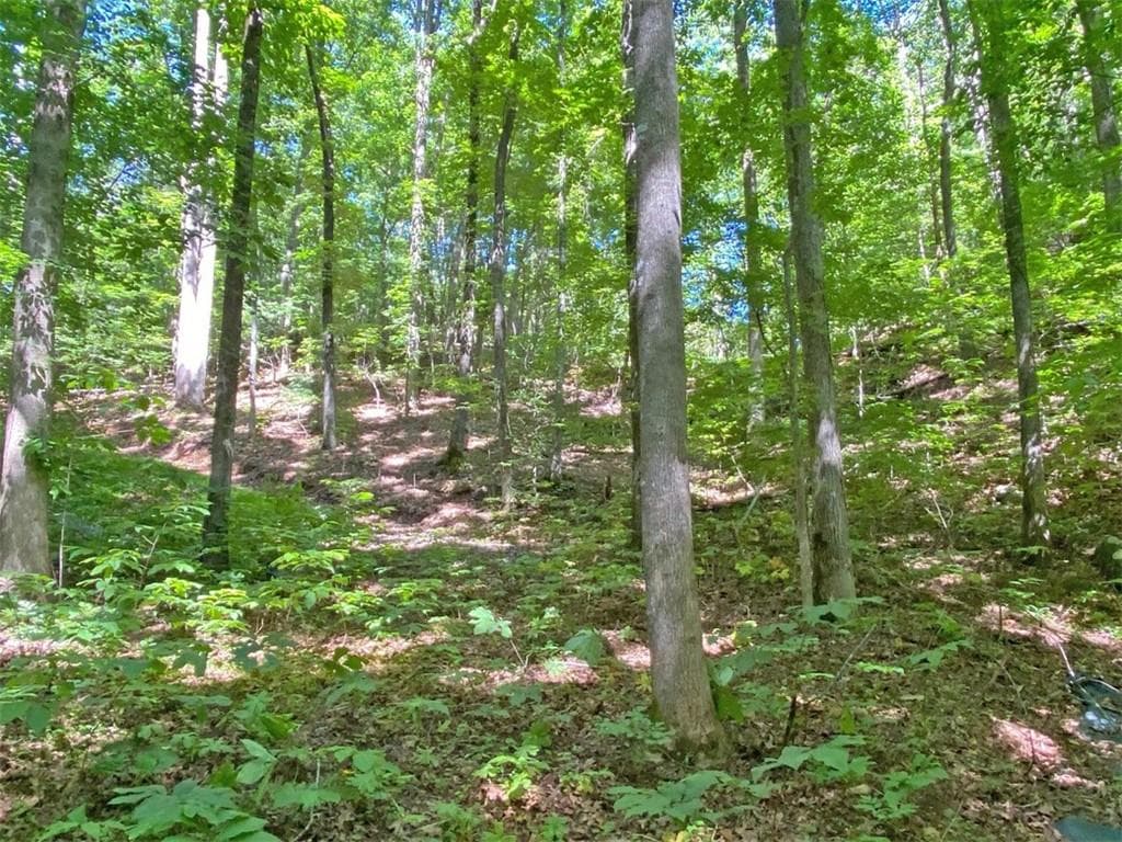 single family residence for sale at 2.4AC Old River Road, Dahlonega, GA 30533 — photo 5